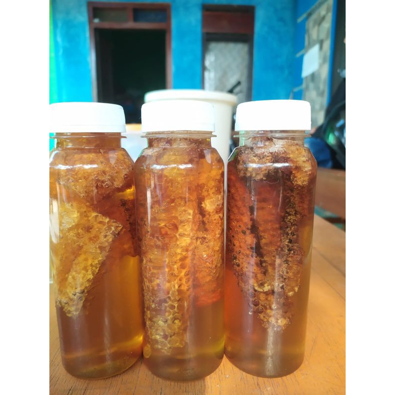

MADU DAN SARANG NYA LEBAH NEKTAR SARI BUNGAN DURIAN ASLI DAN MURNI DARI PETANI MADU LOKAL JUMANTONO KARANGANYAR