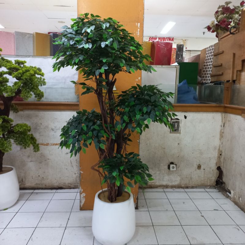 pohon beringin palsu artificial pot gerabah glossy