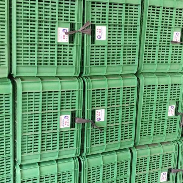 Top Sale.. Keranjang YTH Keranjang Plastik Keranjang Industri