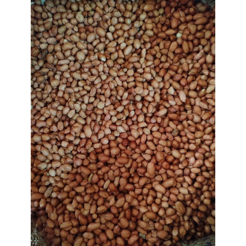 

Kacang tanah Mentah 1Kg