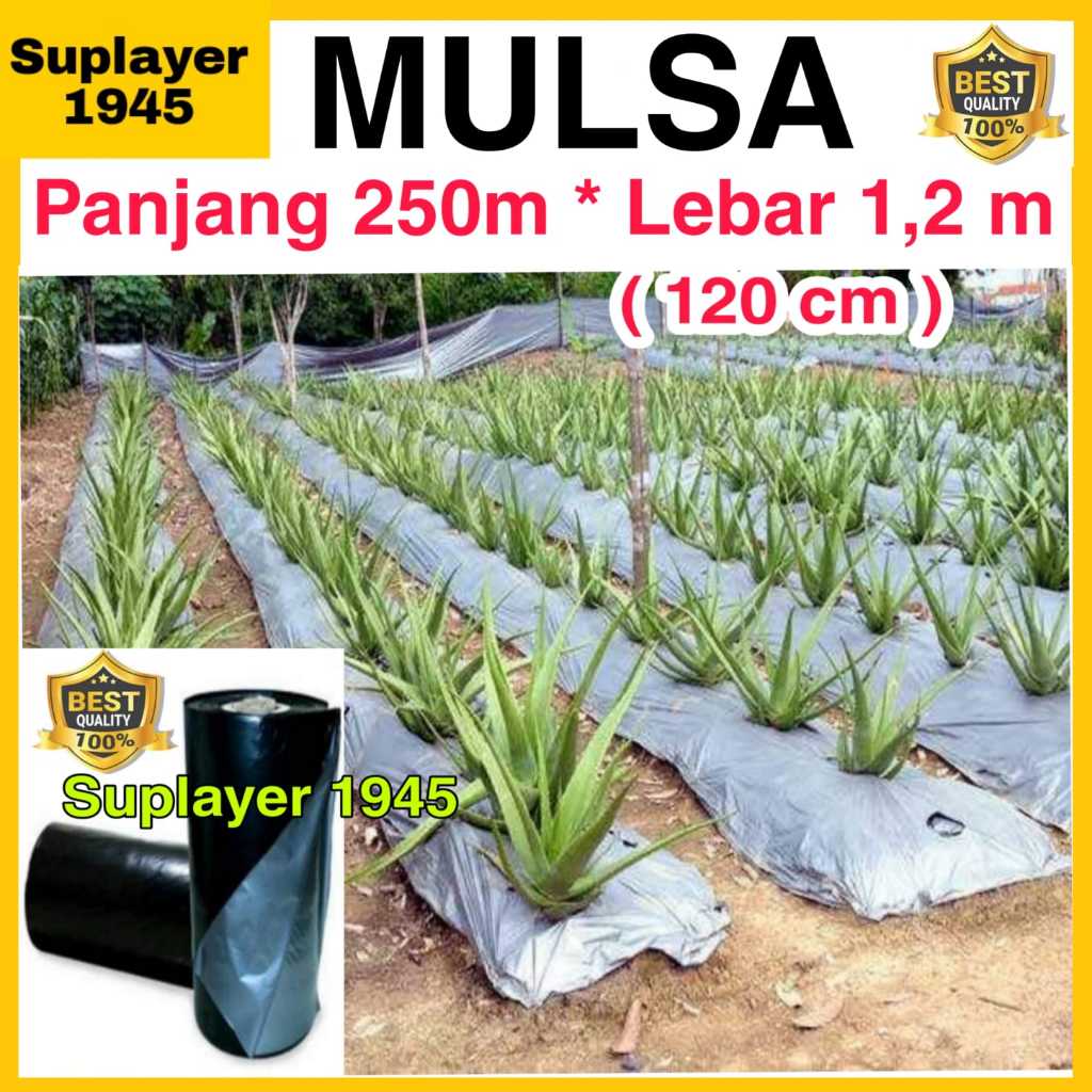 Plastik MULSA 1 ROLL hitam/perak ( Panjang 250 meter x Lebar 1,2 meter ) ROLL
