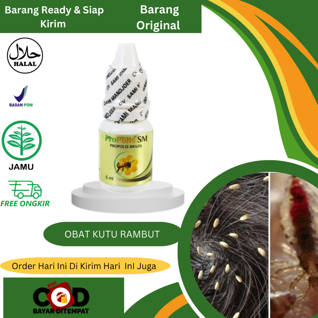 Obat Kutu Rambut Obat Kepala Gatal Karena Kutu Obat Kutu Rambut Anak & Dewasa Obat Kutu Rambut dan T