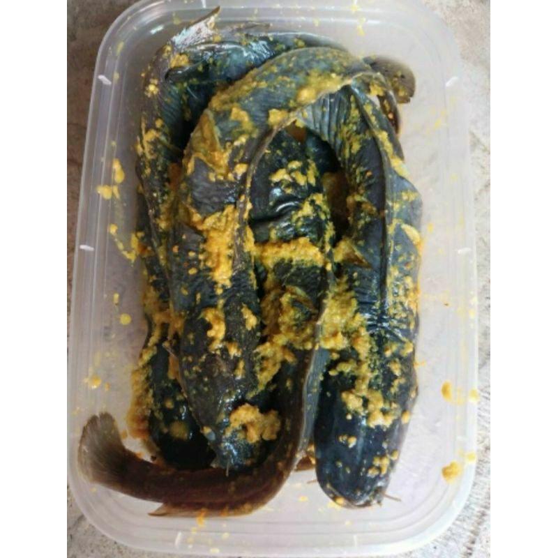 

Lele Bumbu Frozen Food|isi 8ekor|