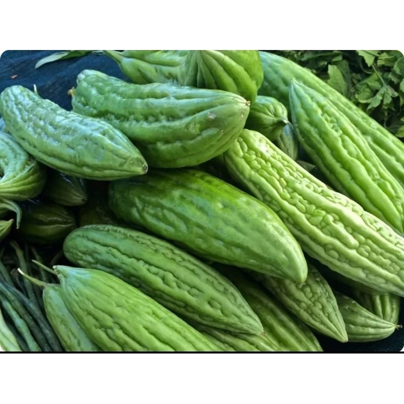 

SAYUR PARE