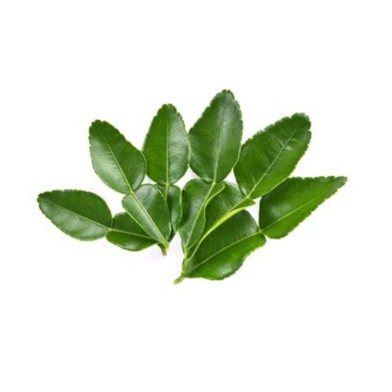 

DAUN JERUK /BUNGKUS