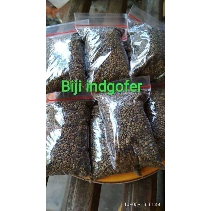 

⭐️⭐️⭐️⭐️⭐️ benih biji indigofera super 1 kg