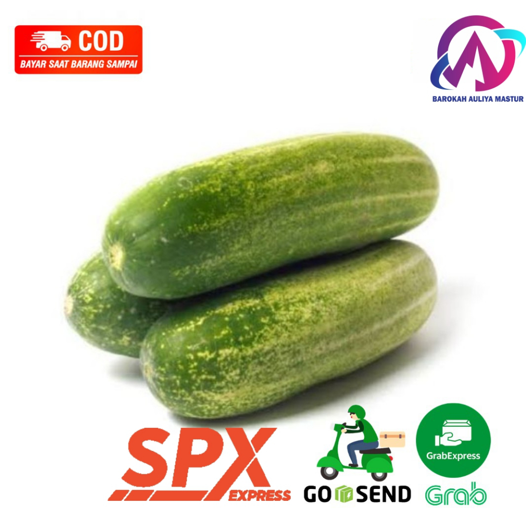 

Timun Mentimun Lokal Cucumber Sayuran Segar 500 Gram BAM Pasar Online Murah Padang