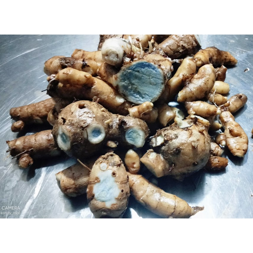 

Kunyit hitam Segar / Rimpang Temu ireng segar alami