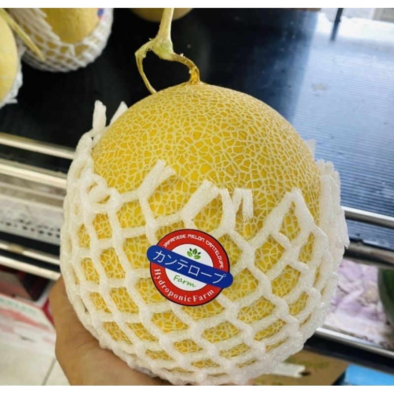 

Melon Intahon Jepang Hydroponic / Pcs