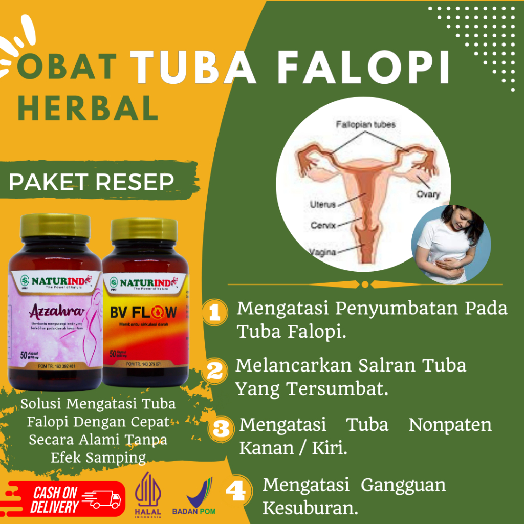 Obat Herbal Tuba Tersumbat Tuba Nonpaten Tuba Falopi Tersumbat AZZAHRA BV FLOW Naturindo