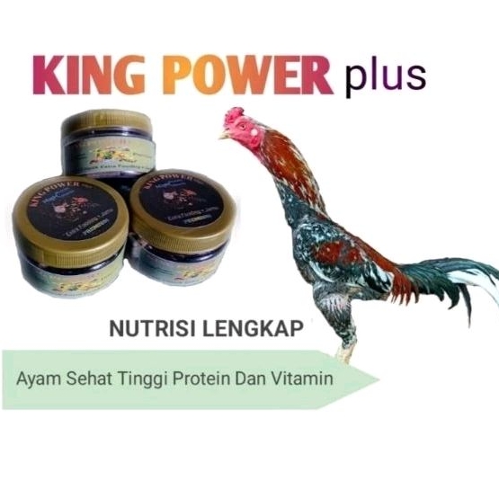 KING POWER PLUS jamu ayam petarung/bobotoh isi 50pcs