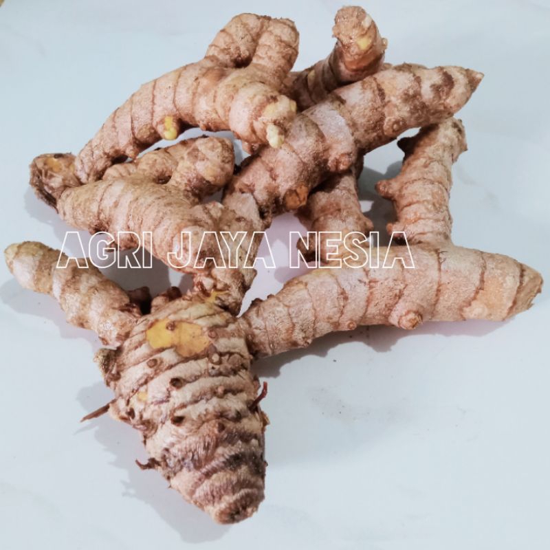 

Temulawak / Temu kuning/ temulawak segar berkualitas