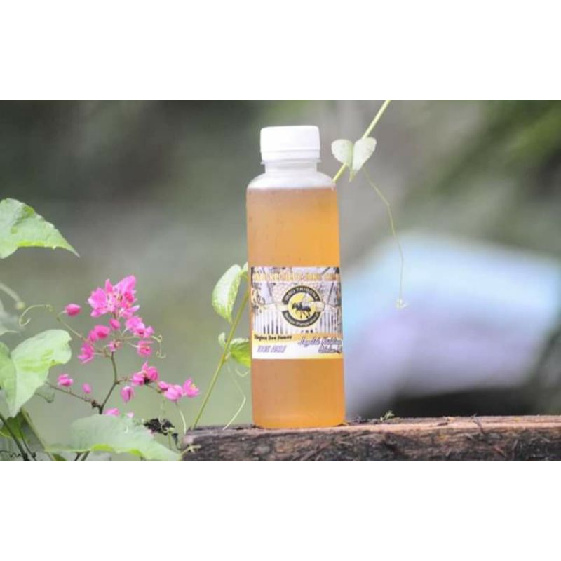 

madu kelulut 250ml/madu kelulut itama 250ml/madu asli
