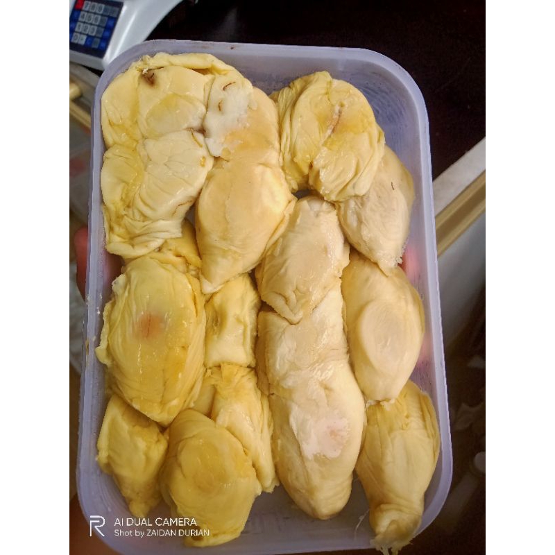 

Durian kupas 900 gr Medan sibolga