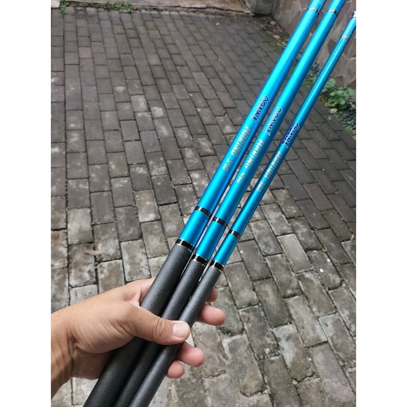 Tegek Carbon Ogawa Marino