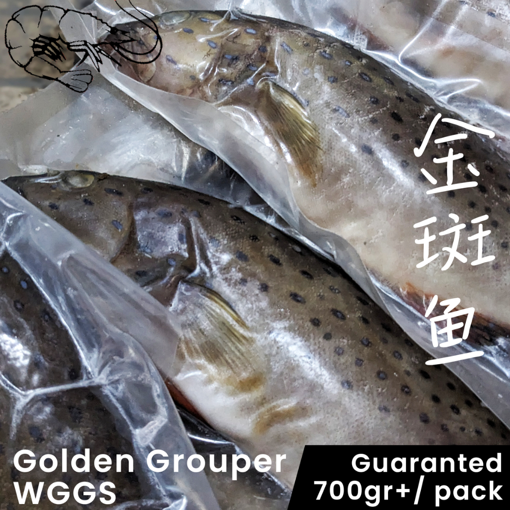 

Ikan Kerapu Laut 700gr+ Vacuum/ ekor by @hayumi.food (Kerapu Liar dan Budidaya)