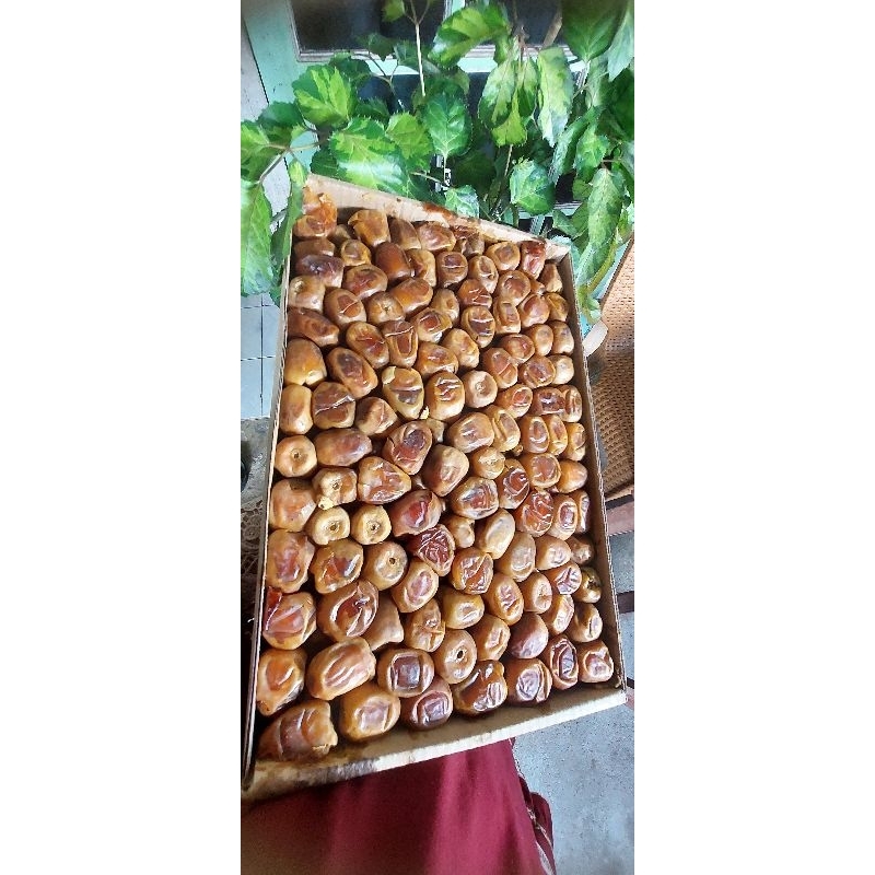 

KURMA SUKARI 3KG