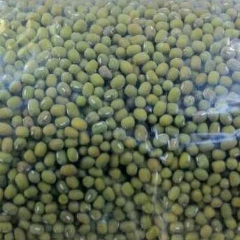 

[KJV42] kacang ijo lokal 1 kg kacang ijo bubur Model #Terbaru )┓