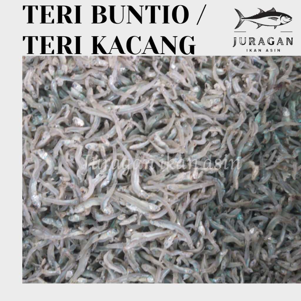 

IKAN TERI BUNTIO / TERI KACANG KEMASAN 250GR BISA COD / TERSEDIA HARGA GROSIR
