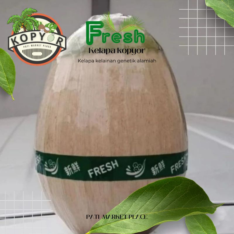 

Buah kelapa kopyor khas pati daging tebal uk 45-47