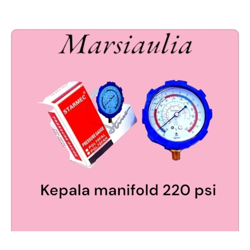 kepala manifold analizer 220 psi 500psi
