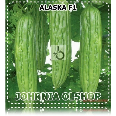 Johrnia 2 Benih Biji Pare ALASKA F1