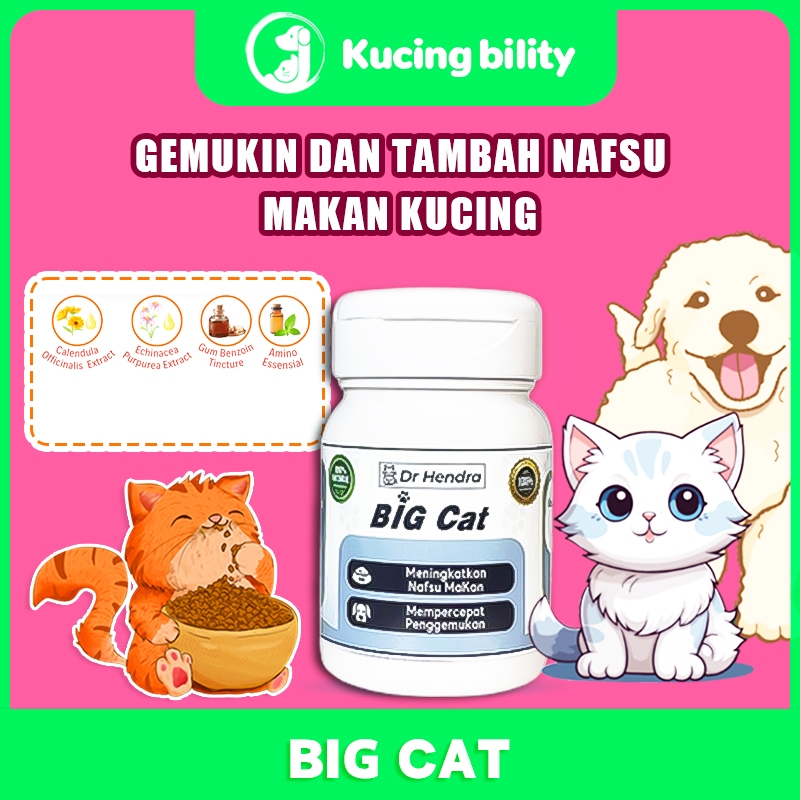 Obat Nafsu Makan Kucing Obat Penggemuk Kucing Vitamin Penggemuk Kucing Penambah Nafsu Makan Kucing