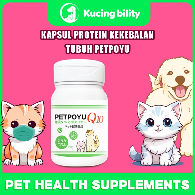 Kapsul Protein Kekebalan Tubuh Meningkatkan kekebalan hewan peliharaan 1kapsul vitamin hewan pelihar