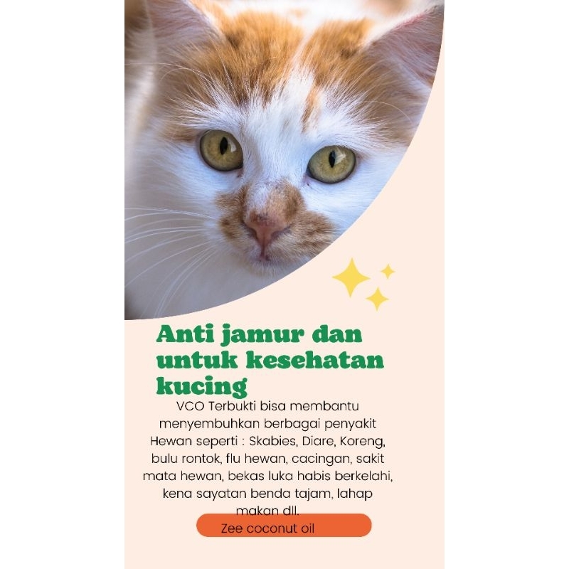 vco untuk hewan kesayangan#vco untuk jamur pada kucing#vco ampuh untuk mengatasi scabies##vco 100ml