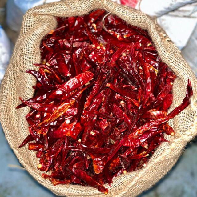 

Cabe gembung / Cabe kering / Cabe india / Cabai