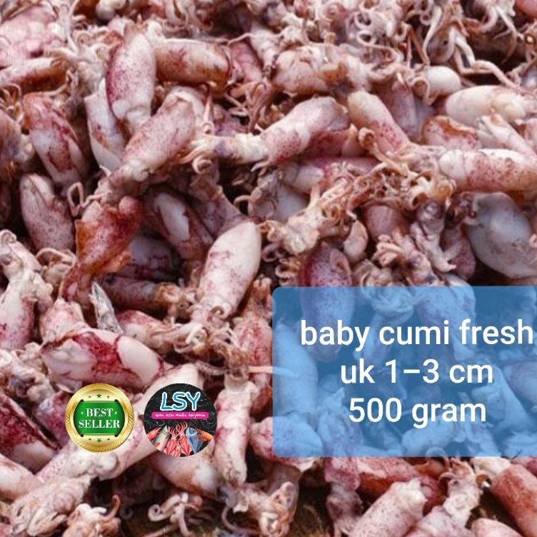 

Diskon ikan asin baby cumi / cumi asin / cumi rebus 78 berat 500gram