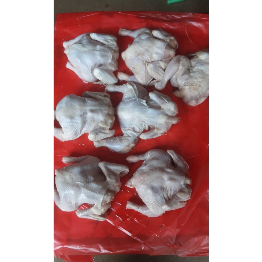 

modelTipe XZA723 Ayam broiler promo 300 sd 400 gram/ayam murah/ayam potong/ayam broiler