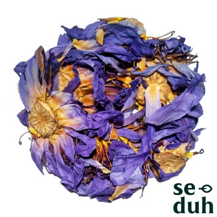 

MODEL RJW074 Blue Lotus Flower Tea / Teh Bunga Teratai Biru 8 gram