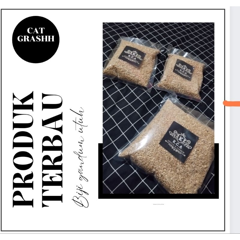 

KCA Biji gandum catt grash 1 kg benihsuper