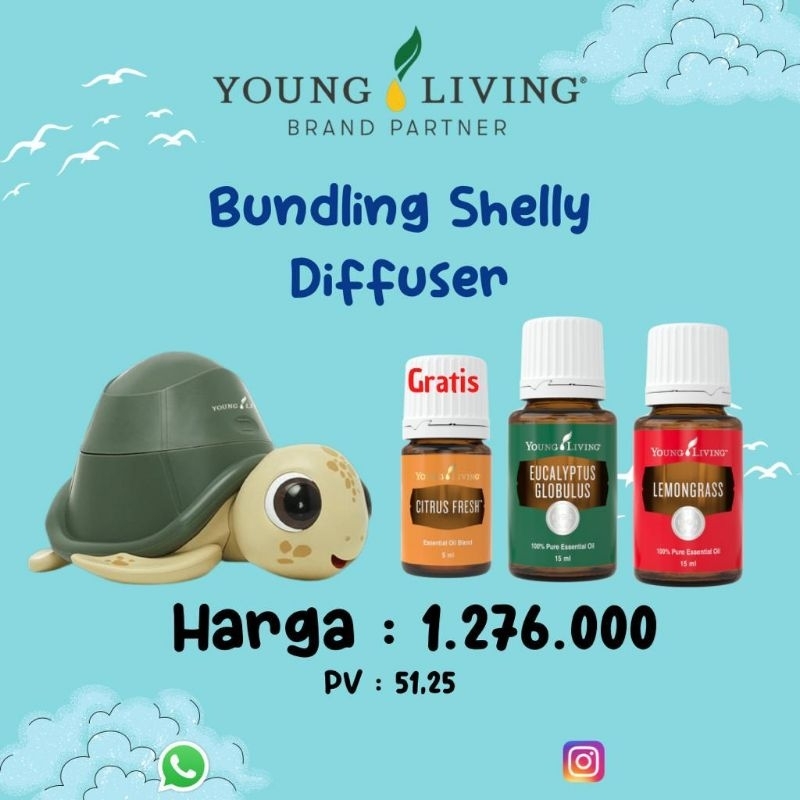 paket diffuser shelly