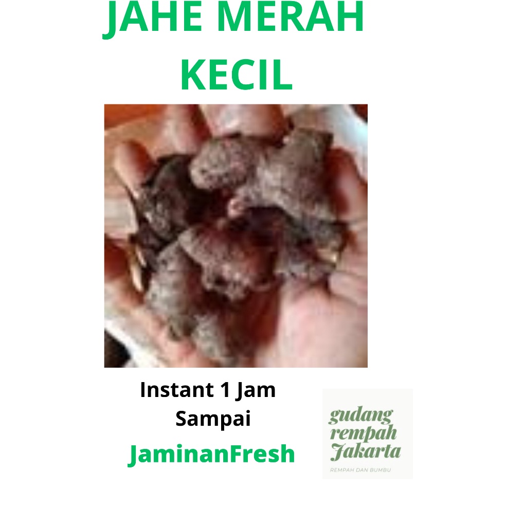 

DT69 JAHE MERAH KECIL 1 KILOGRAM ltnud