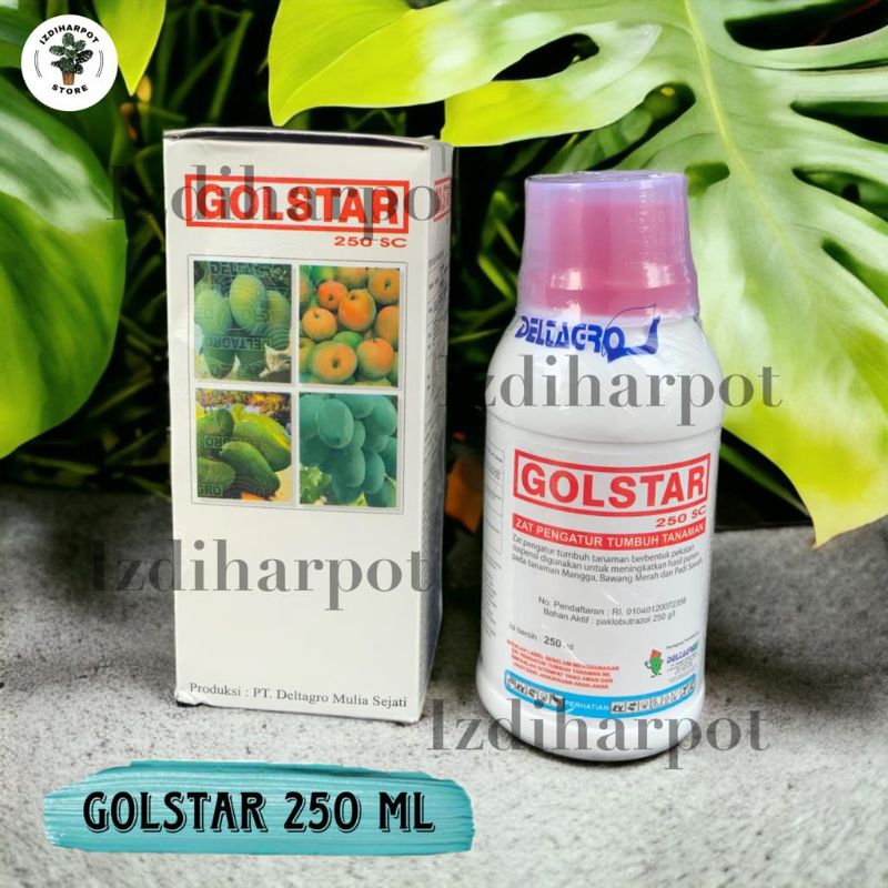 GOLSTAR 250 SC PUPUK ZPT VITAMIN BUAH 250 ML - GOLSTAR 250 ML BESAR