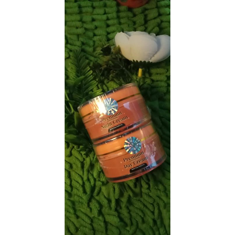 PAKET DAY CREAM+NIGHT CREAM PREMIUM FF BY FENNY FRANS ORI. BPOM