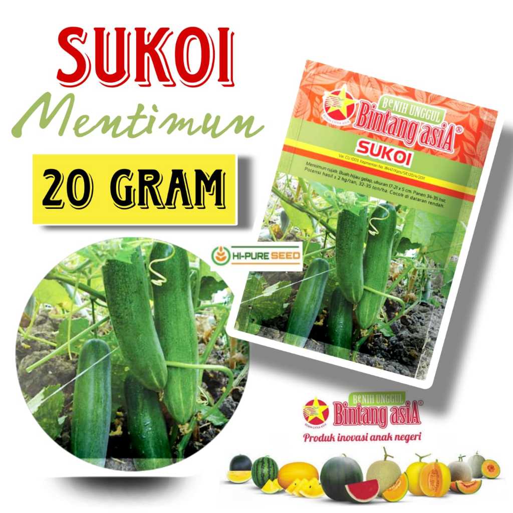 Benih Mentimun Timun Hijau SUKOI 20 Gram Cap Bintang Asia PT Benih Citra Asia