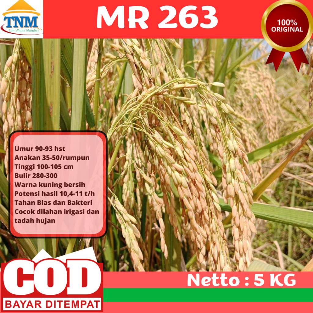 Biji Padi Unggul MR 263 (5kg)