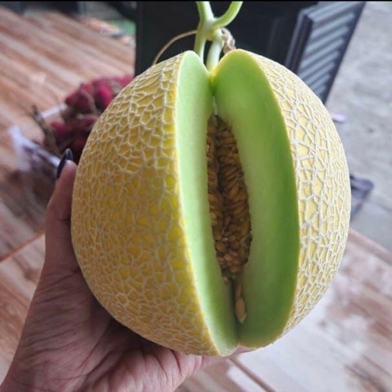 

Melon Ithanon [Manis] /kg