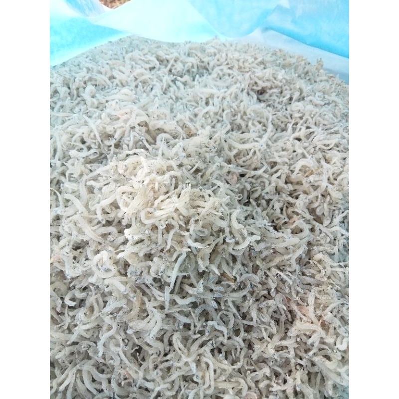

PALING MURAH Teri Medan asli Padang fresh 1kg