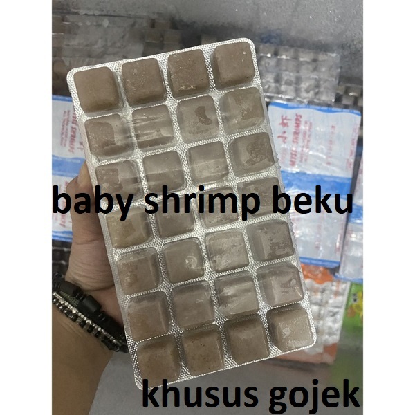 Baby shrimp frozen udang beku M27 rebon pakan ikan khusus gojek