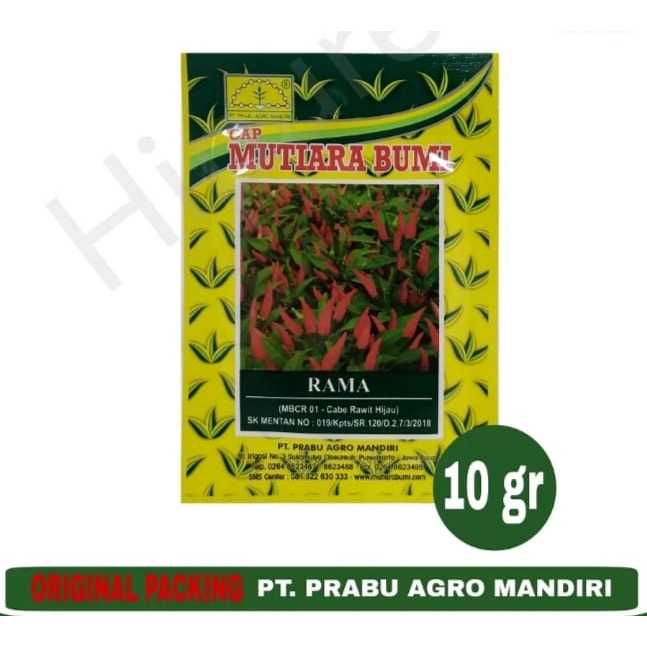 benih cabe rawit hijau/rama/mutiara bumi