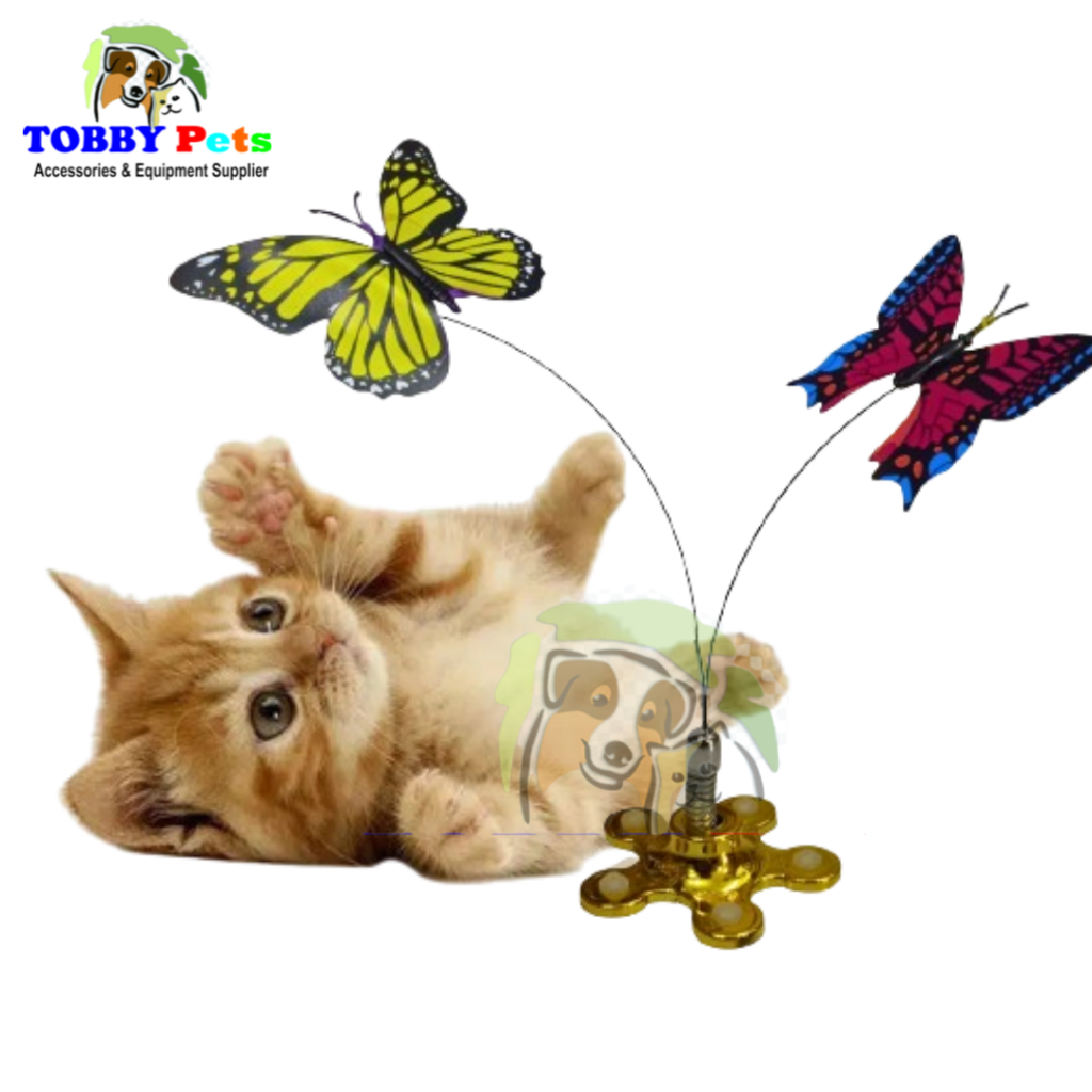 Mainan Kucing Kupu - Kupu Terbang Boxing