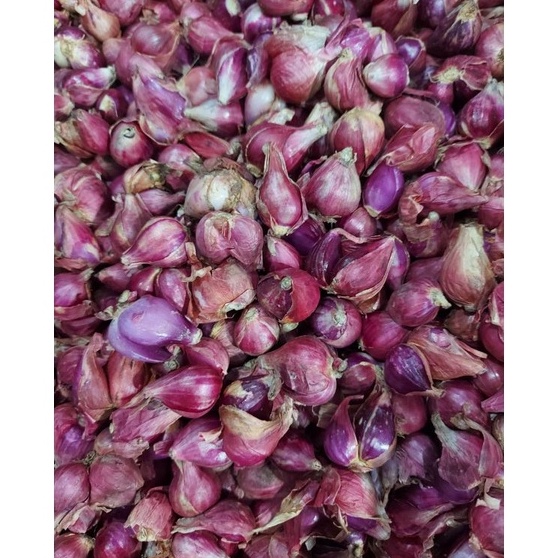 

[KODE MMED9] BAWANG BREBES UKURAN SEDANG 1KG