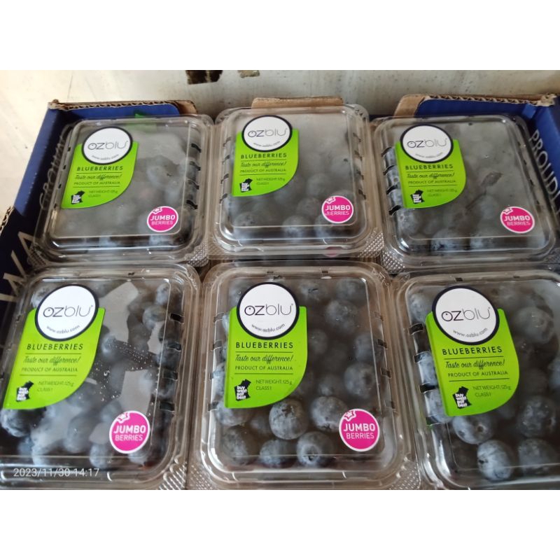 

Ozblu blueberry Jumbo Berries Australia | Buah Blueberry Jumbo 125 - 200g
