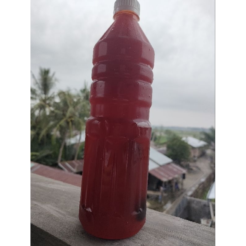 

Sirup Kietna kiamboi Asli Homemade