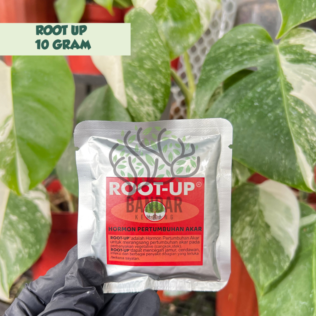Hormon Root-up 10 gram Stek cangkok tanaman Penumbuh Akar