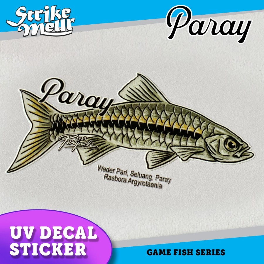 

STICKER IKAN PARAY / WADER PARI UV DECAL